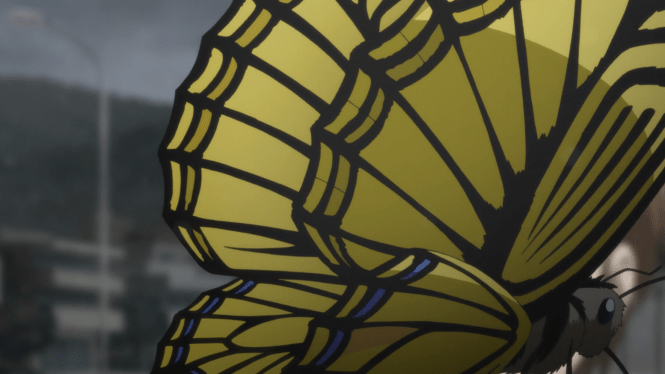 zetsuennotempestbutterfly